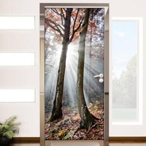 아트박스/꾸밈 ip410-숲속의아침햇살_현관문방문시트지