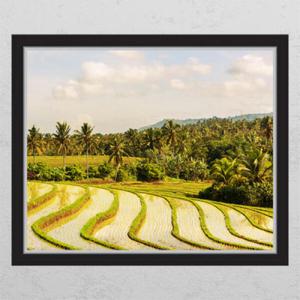 아트박스/꾸밈 cj414-뜨거운햇살아래야자나무_창문그림액자