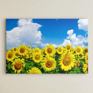 아트박스/꾸밈 cu452-해바라기와하늘여행_중형노프레임