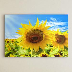 아트박스/꾸밈 cu451-따스한햇살과해바라기_중형노프레임