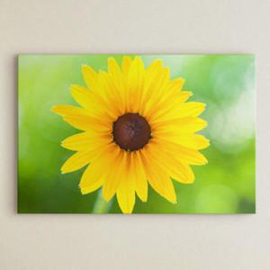 아트박스/꾸밈 cu454-해바라기의꿈_중형노프레임