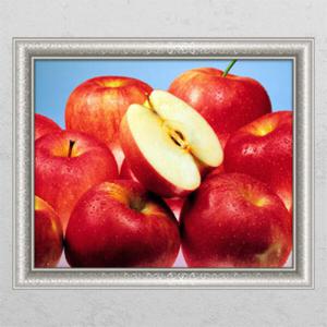 아트박스/꾸밈 ck813-싱그러운빨간사과_창문그림액자