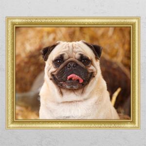 아트박스/꾸밈 ck763-귀여운나의반려견_창문그림액자