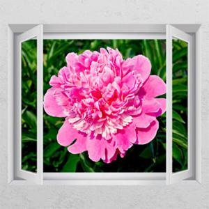아트박스/꾸밈 ca617-부귀와명예의모란꽃_창문그림액자