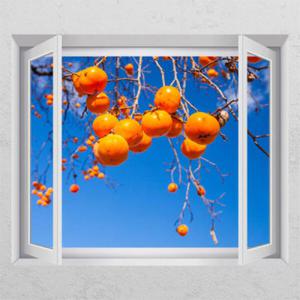아트박스/꾸밈 ck792-주렁주렁감나무_창문그림액자