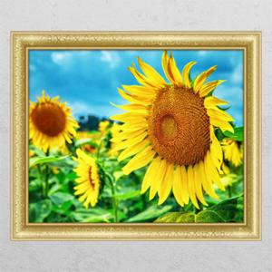 아트박스/꾸밈 ck794-해바라기동산_창문그림액자