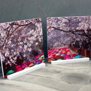 아트박스/꾸밈 tm640-스탠드액자2P_벚꽃나무아래에서02