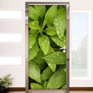 아트박스/꾸밈 th081-이슬이맺힌풀잎_현관문시트지