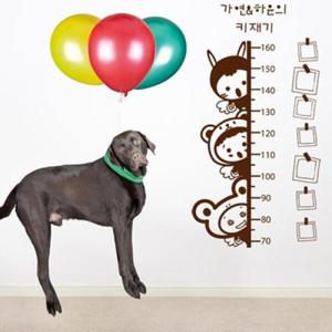 아트박스/꾸밈 pb096-우리아이 키재기사진스티커