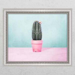 아트박스/꾸밈 ik482-꽃이핀선인장_창문그림액자