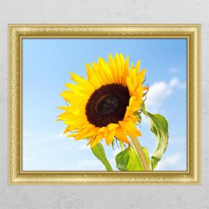 아트박스/꾸밈 ik484-산뜻한해바라기_창문그림액자