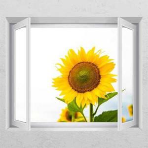 아트박스/꾸밈 cg103-하늘만보는해바라기_창문그림액자