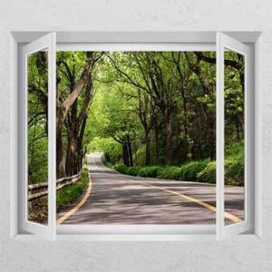 아트박스/꾸밈 is639-달리고싶은길_창문그림액자