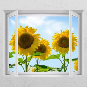 아트박스/꾸밈 ck139-맑은하늘아래해바라기_창문그림액자