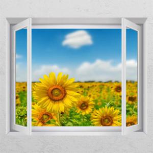 아트박스/꾸밈 cc210-해바라기와구름_창문그림액자