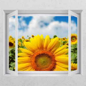 아트박스/꾸밈 ck140-풍요의상징해바라기_창문그림액자