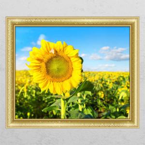 아트박스/꾸밈 ck141-해바라기와나비_창문그림액자