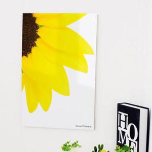 아트박스/꾸밈 cs350-아크릴액자_샛노란해바라기