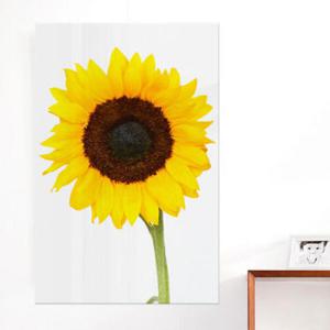 아트박스/꾸밈 ih893-아크릴액자_풍수해바라기