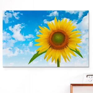 아트박스/꾸밈 cs351-아크릴액자_푸른하늘해바라기