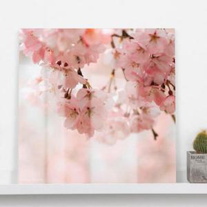 아트박스/꾸밈 tm029-아크릴액자_팝콘같은벚꽃