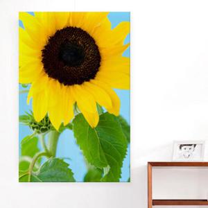 아트박스/꾸밈 cs358-아크릴액자_햇살같은해바라기