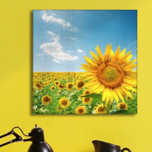 아트박스/꾸밈 cs359-아크릴액자_활짝핀해바라기시리즈