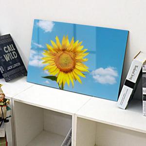 아트박스/꾸밈 cc326-아크릴액자_뾰족한해바라기