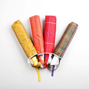 아트박스/더로라 3단 접는우산-첵크 번들 E802