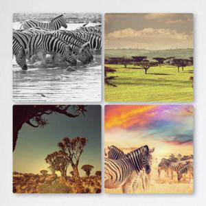 아트박스/꾸밈 cf336-멀티액자_아프리카초원과얼룩말