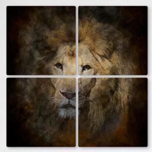 아트박스/꾸밈 cf400-멀티액자_동물의왕사자