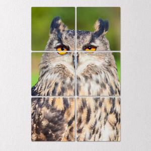 아트박스/꾸밈 tf239-멀티액자_풍수부엉이