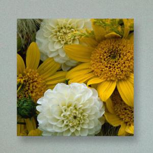 아트박스/꾸밈 pa448-아크릴액자_그림과같은해바라기(중형)