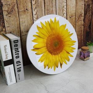 아트박스/꾸밈 cc725-원형아크릴액자_해바라기한송이