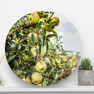 아트박스/꾸밈 ts166-원형아크릴액자_풋사과나무