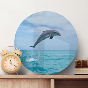 아트박스/꾸밈 pa516-원형아크릴액자_뛰어오르는돌고래