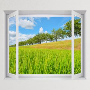 아트박스/꾸밈 iy883-청량한자연풍경_창문그림액자(중형)