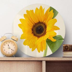 아트박스/꾸밈 pa586-원형아크릴액자_사랑과풍요의해바라기