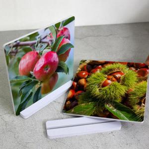 아트박스/꾸밈 tk961-스탠드액자2P_밤과사과1