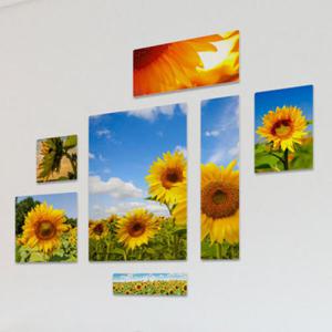아트박스/꾸밈 tb441-멀티액자_해바라기의시간에따른분위기
