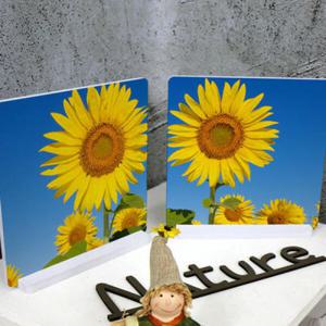 아트박스/꾸밈 pa881-스탠드액자2P_행복의해바라기02