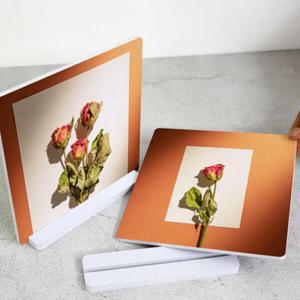 아트박스/꾸밈 pa953-스탠드액자2P_감성드라이플라워02