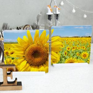 아트박스/꾸밈 ts281-스탠드액자2P_해바라기동산01