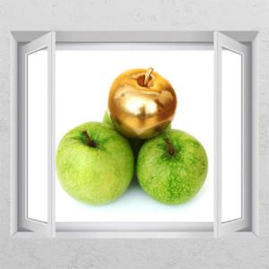 아트박스/꾸밈 cd350-풋사과금사과(여러개)_창문그림액자
