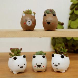아트박스/진바스 앙증맞은 미니 곰돌이 5종 다육 화분(다육포함)