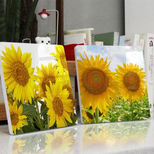 아트박스/꾸밈 te115-폼아크릴액자18CmX18CmX2ea_하늘과해바라기