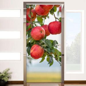 아트박스/꾸밈 tl451-풍수대롱대롱빨간사과_현관문시트지