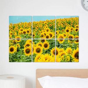 아트박스/꾸밈 bh340-멀티액자_행복한해바라기꽃밭