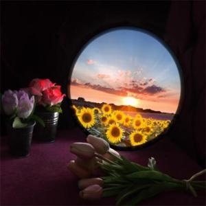 아트박스/꾸밈 no052-LED액자25R_석양에물든해바라기