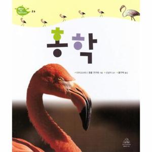 홍학 - Deep in Nature 26 (양장)